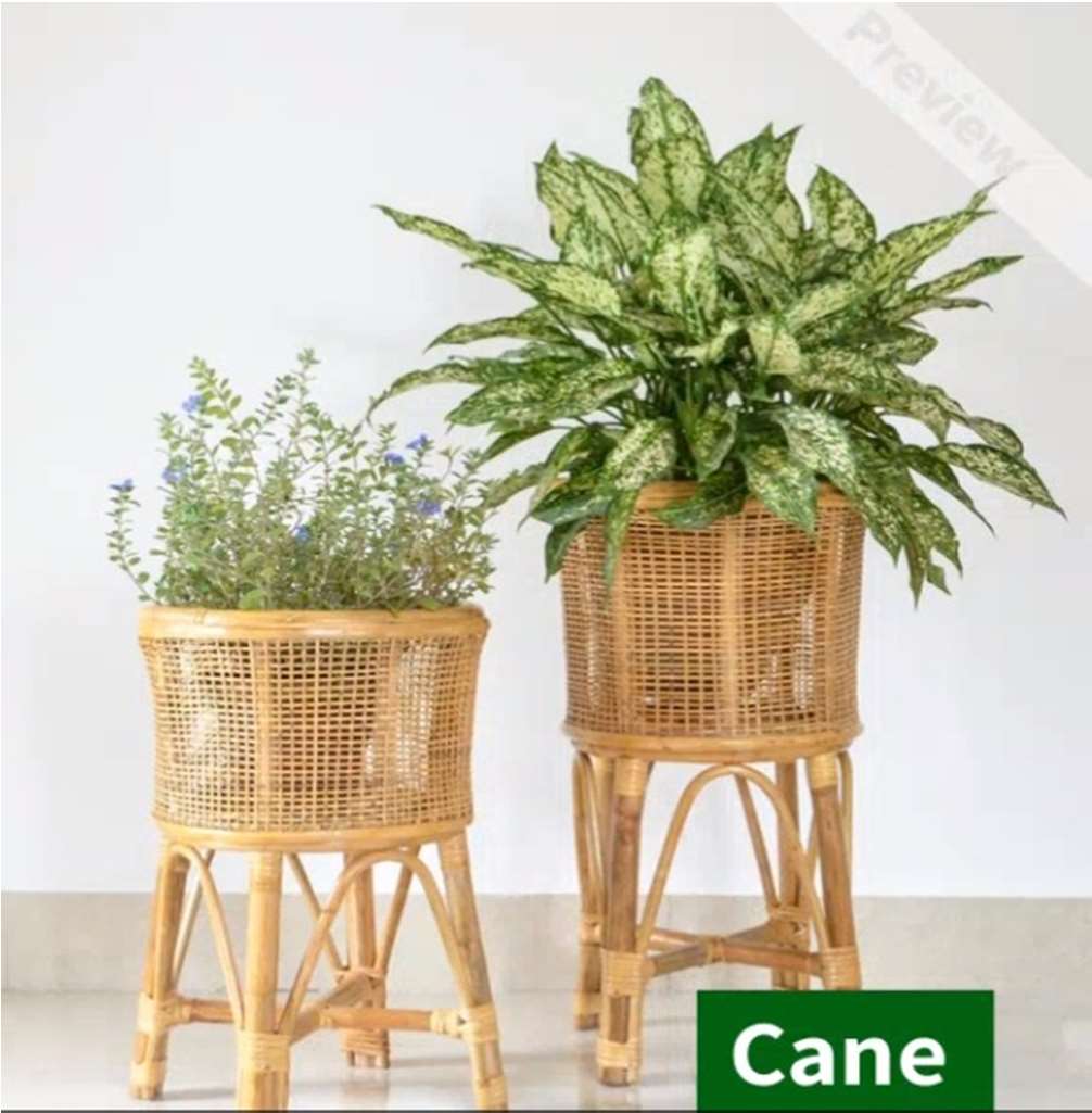 Bamboo Cane Handicrafts